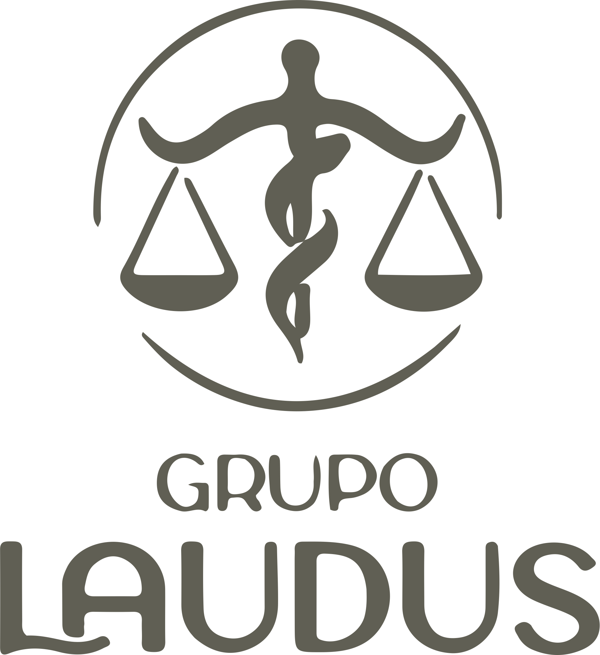 Grupo Laudus